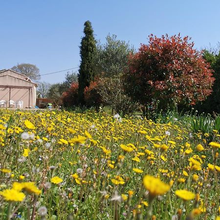 Maison De Vacances L'Hote Champetre Campagne Arlesienne エクステリア 写真