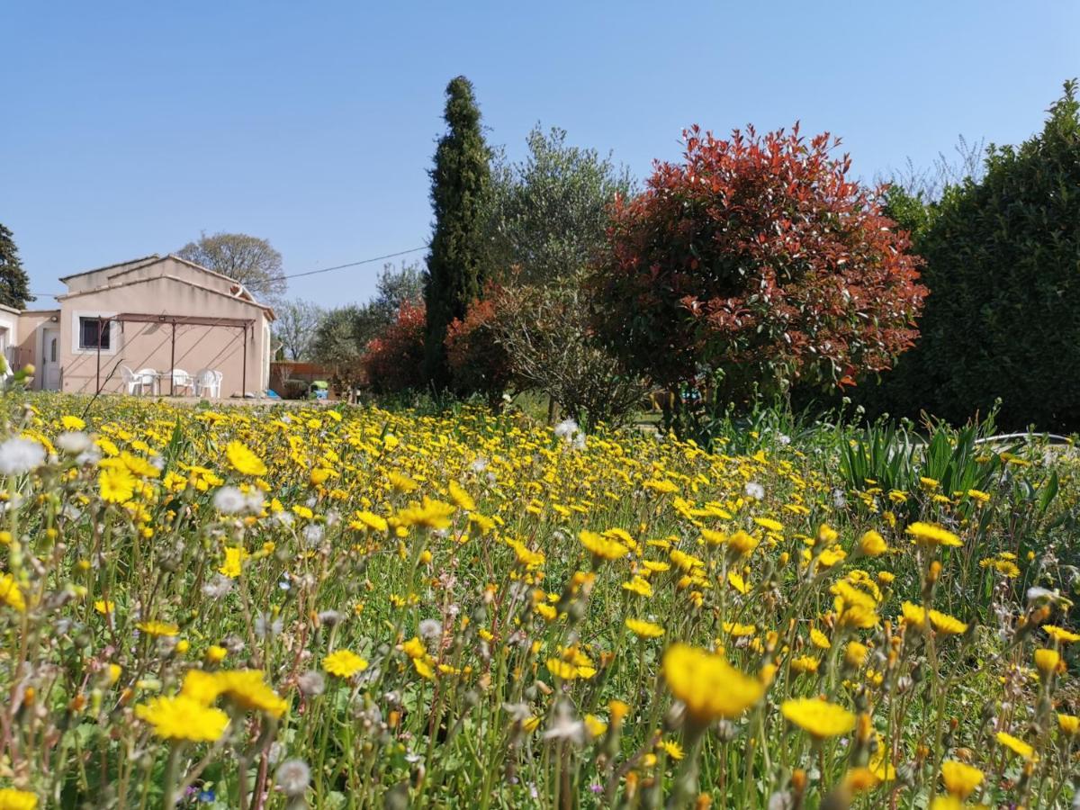 Maison De Vacances L'Hote Champetre Campagne Arlesienne エクステリア 写真